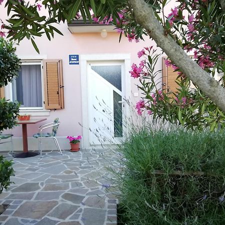 Apartmani Vesna Buje Dış mekan fotoğraf