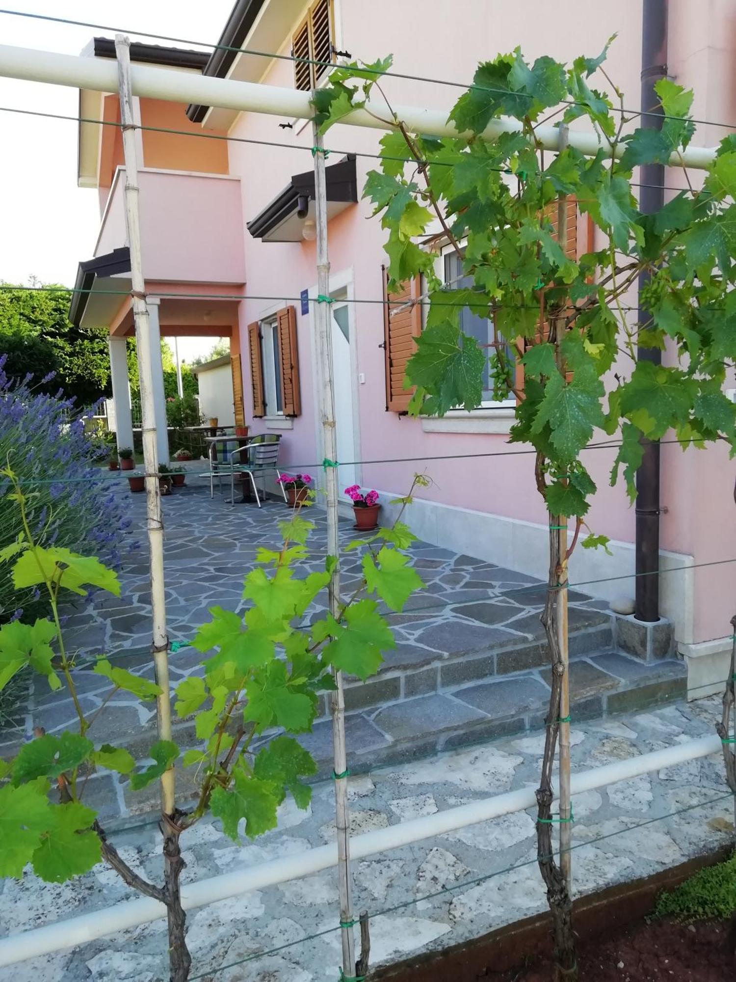 Apartmani Vesna Buje Dış mekan fotoğraf