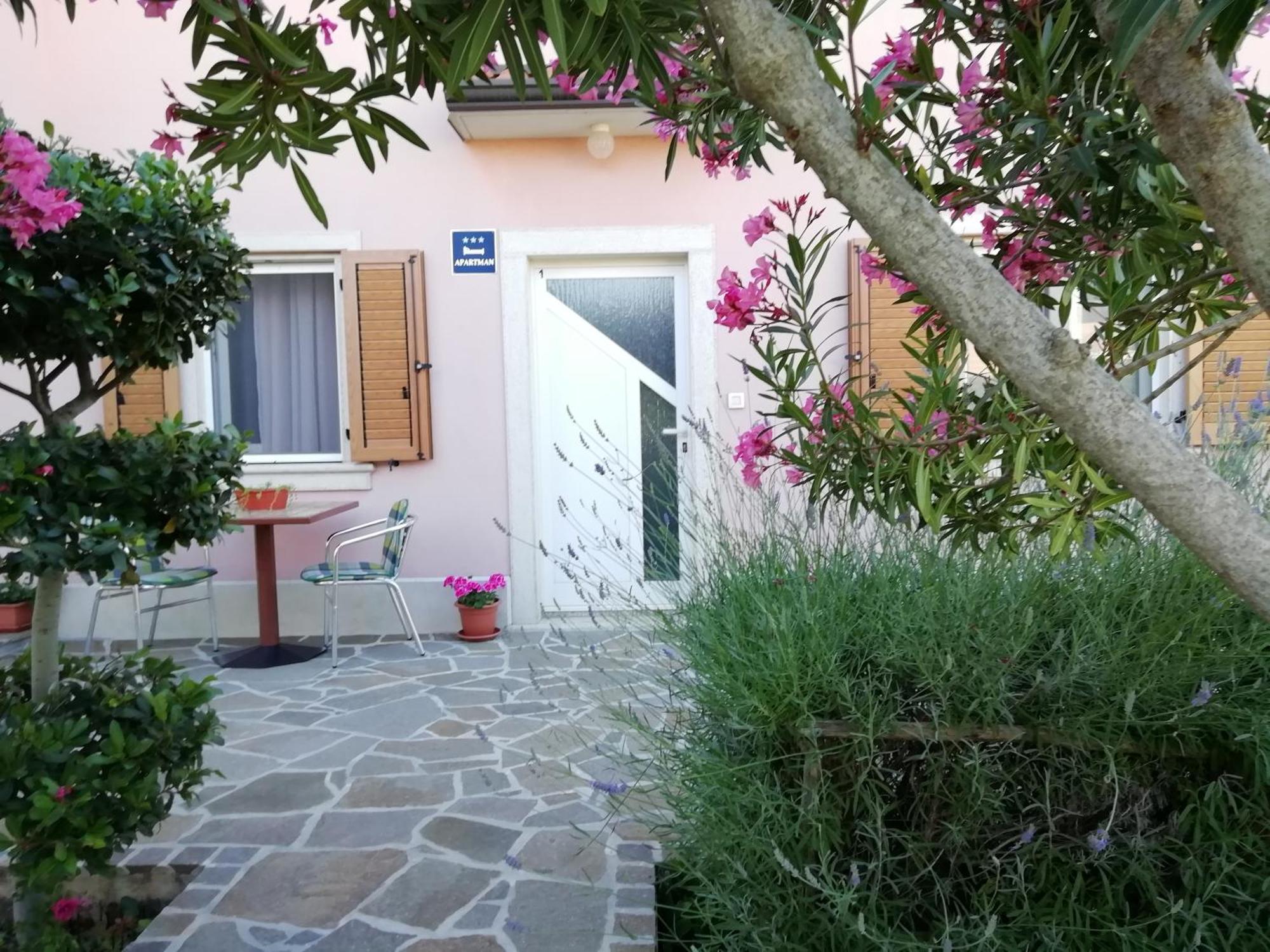 Apartmani Vesna Buje Dış mekan fotoğraf